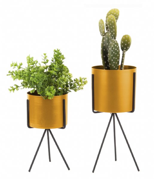 Present Time Bloempot Plant pot set Pedestal iron Ochre yellow (PT3426YE) Present Time Bloempot Plant pot set Pedestal iron Ochre yellow (PT3426YE)