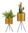 Present Time Bloempot Plant pot set Pedestal iron Ochre yellow (PT3426YE) Present Time Bloempot Plant pot set Pedestal iron Ochre yellow (PT3426YE)