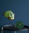 Present Time Bloempot Plant pot set Pedestal iron Ochre yellow (PT3426YE) Present Time Bloempot Plant pot set Pedestal iron Ochre yellow (PT3426YE)