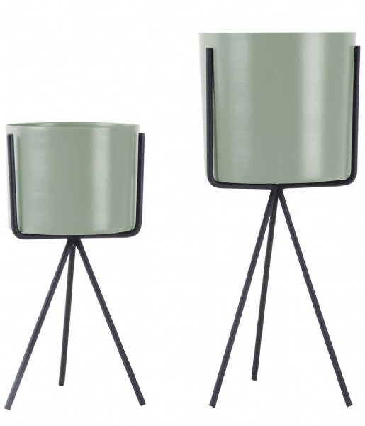 Present Time Bloempot Plant pot set Pedestal iron Soft green (PT3426GR) Present Time Bloempot Plant pot set Pedestal iron Soft green (PT3426GR)