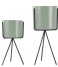 Present Time Bloempot Plant pot set Pedestal iron Soft green (PT3426GR) Present Time Bloempot Plant pot set Pedestal iron Soft green (PT3426GR)