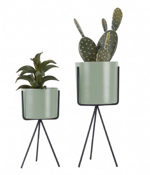 Present Time Bloempot Plant pot set Pedestal iron Soft green (PT3426GR) Present Time Bloempot Plant pot set Pedestal iron Soft green (PT3426GR)