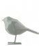 Present Time  Statue bird small polyresin Jungle Green (PT3335GR)
