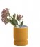 Present Time  Vase Cast rounded small ceramic Ochre Yellow (PT3478YE)