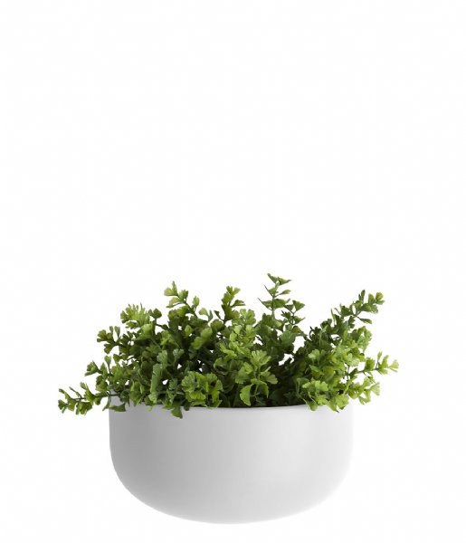 Present Time  Wall plant pot Oval wide ceramic matt White (PT3384WH)