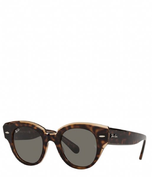 Slang Menagerry stem Ray Ban Zonnebril Icons Roundabout Havana On Transparent Brown (1292B1) |  The Little Green Bag