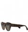 Ray Ban  Icons Roundabout Havana On Transparent Brown (1292B1)