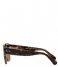 Ray Ban  Icons Roundabout Havana On Transparent Brown (1292B1)