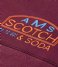 Scotch and Soda  Cut & Sewn Panelled Artwork Sweatshirt Combo B (0218)