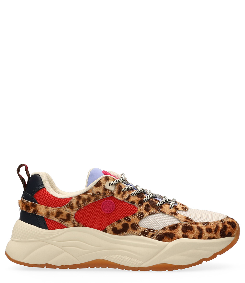 Soda best sale cheetah sneakers