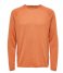 Selected Homme  Mecca Long Sleeve Knit Crew Neck W Bombay Brown (#9F5130)
