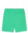 Shiwi  Kids Swim Short Recycled Mike Solid Pappagallo Green (676)