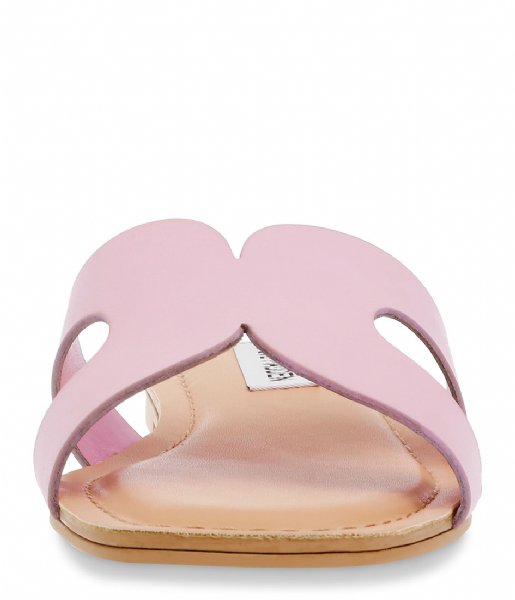 Steve Madden  Zarnia Sandal Pink Leather (697)