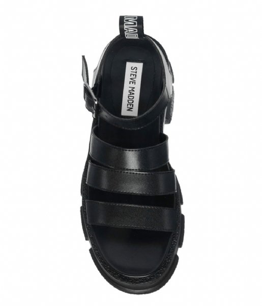 Steve Madden  Pioneer Sandal Black Leather (017)