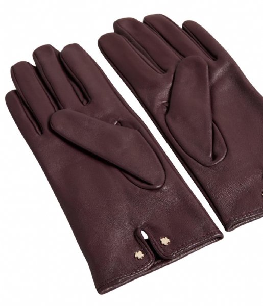 Ted Baker  Arleo Leather Magnolia Gloves Deep Purple