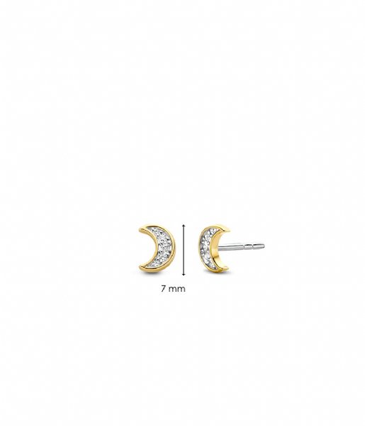 TI SENTO - Milano  925 Sterling Zilveren Earrings 7862 Zirconia white yellow gold plated (7862ZY)