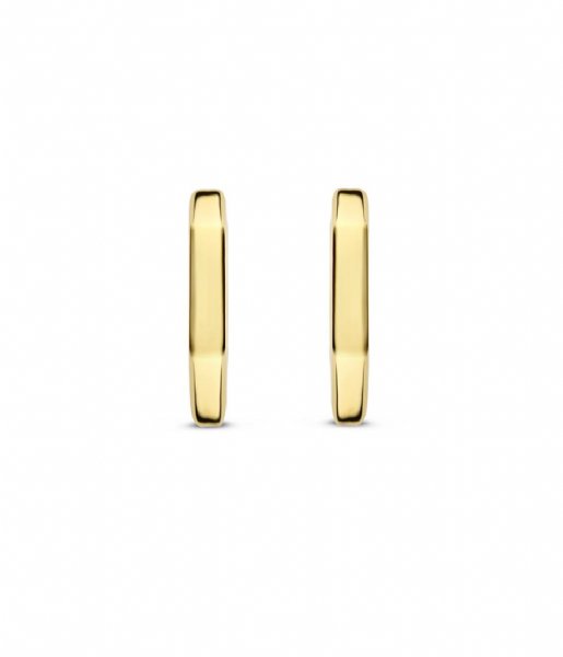 TI SENTO - Milano  925 Sterling Silver Earrings 7929SY Gold Plated