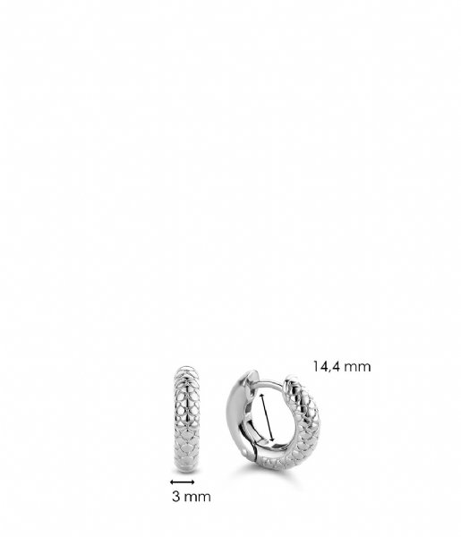 TI SENTO - Milano  925 Sterling Zilver Earrings 7210 Silver Snake (7210SS)