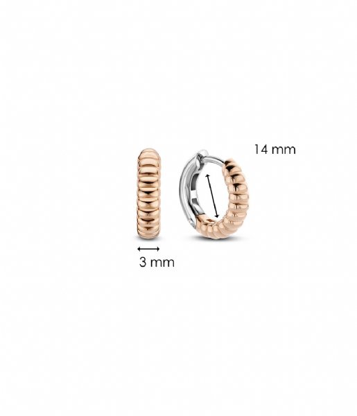 TI SENTO - Milano  925 Sterling Zilveren Earrings 7839 Silver Rosegold Plated (7839SR)