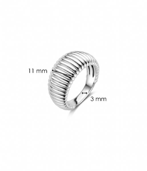 TI SENTO - Milano  925 Sterling Zilveren Ring 12217 Silver (12217SI)