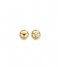 TI SENTO - Milano  925 Sterling Zilveren Earrings 7841 Silver Yellow Gold Plated (7841SY)
