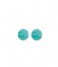 TI SENTO - Milano  925 Sterling Zilveren Earrings 7841 Turquoise (7841TQ)