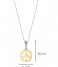 TI SENTO - Milano  925 Sterling Zilveren Pendant 6803 Silver Yellow Gold Plated (6803SY)