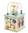 Trixie  Wooden 5-In-1 Activity Cube Multi