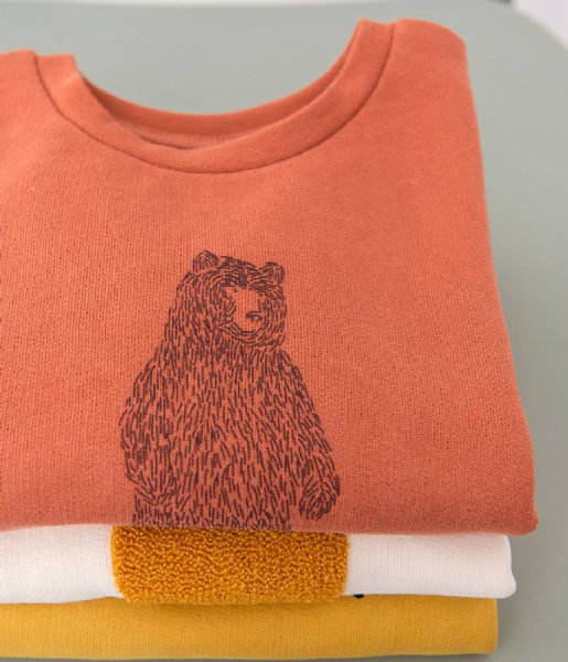 Trixie  Sweater Brave Bear Brave bear