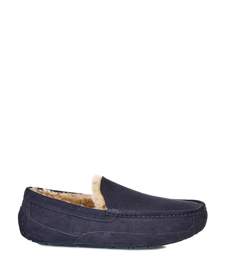 ugg ascot true navy