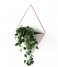 Umbra  Trigg Wall Display Large Concrete Copper(633)