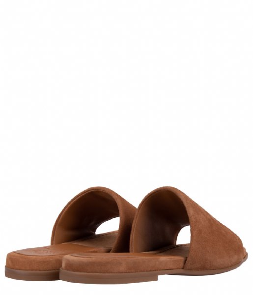 UNISA  Chaco Toffee